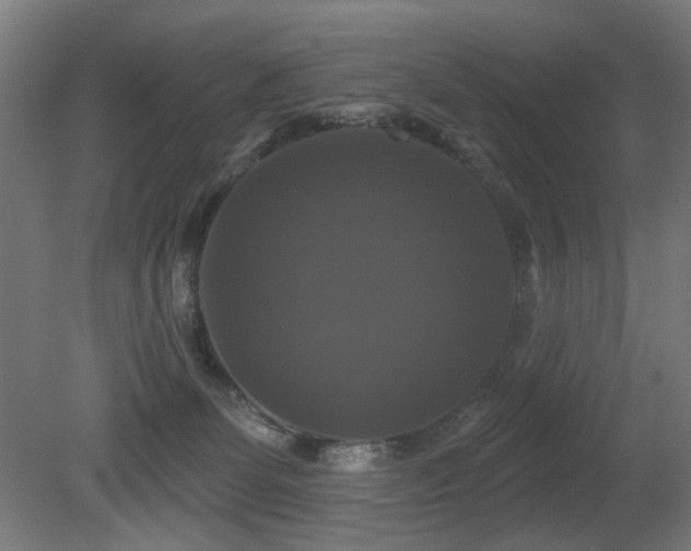 X0000081360131200701111531
