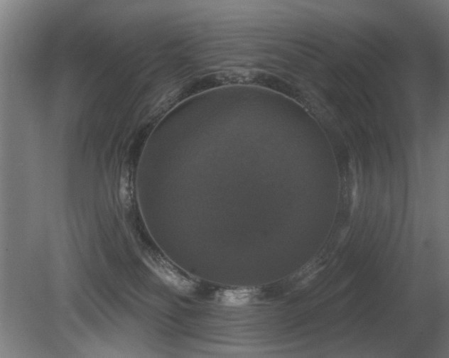 X0000081360134200701111531