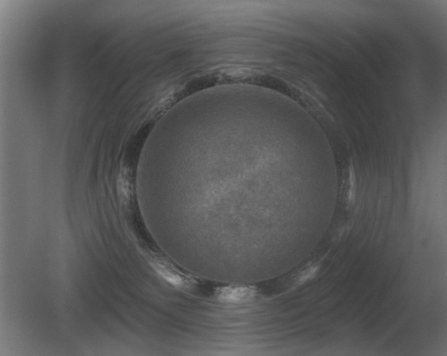X0000081360135200701111531