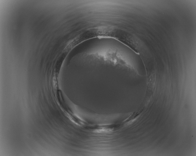 X0000081360137200701111531