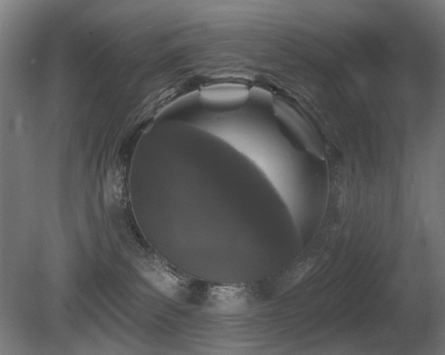 X0000081360139200701111531