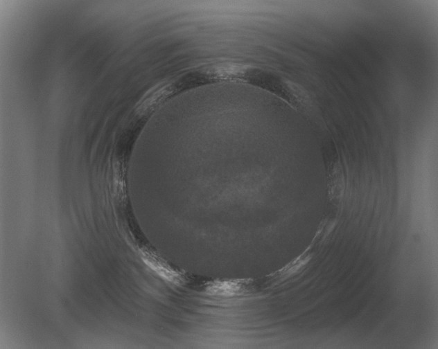 X0000081360140200701111531