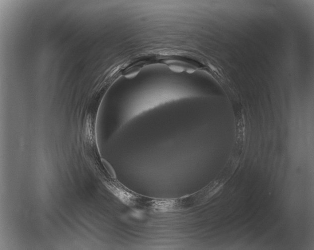 X0000081360143200701111531