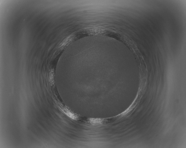 X0000081360144200701111531