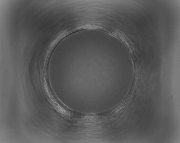 X0000081360145200701111530