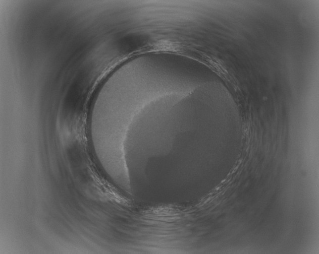 X0000081360146200701111530
