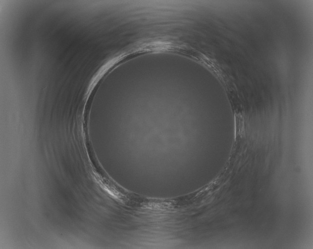 X0000081360147200701111530
