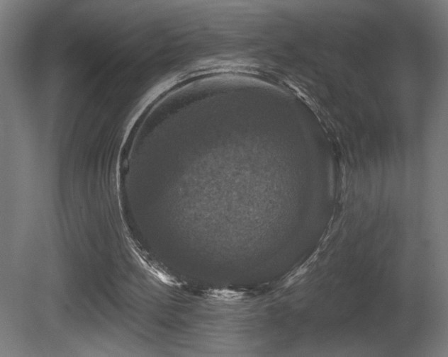 X0000081360148200701111530