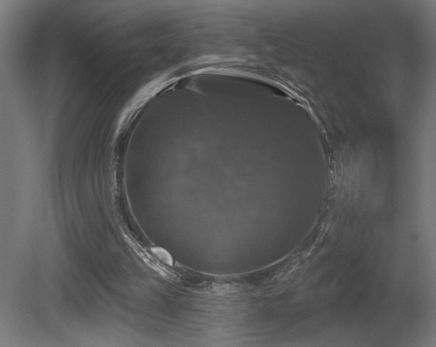 X0000081360149200701111530