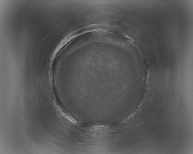 X0000081360150200701111530