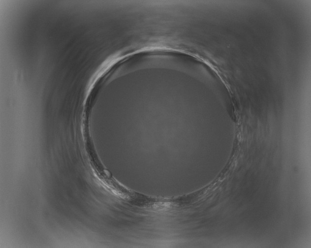X0000081360152200701111531