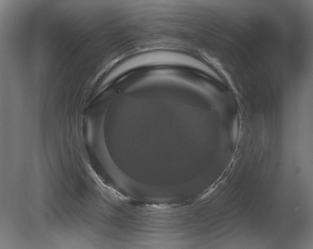 X0000081360154200701111531