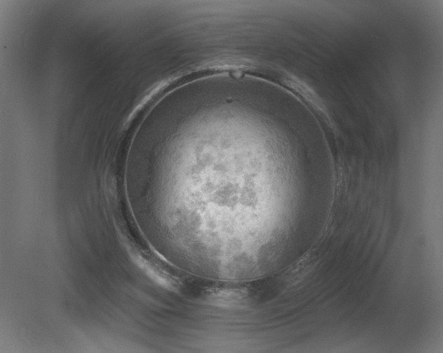 X0000081360155200701111531