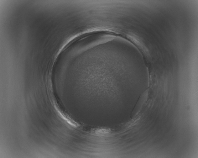 X0000081360156200701111531
