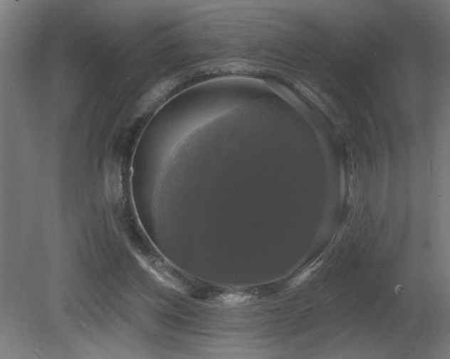 X0000081360158200701111531