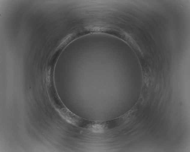 X0000081360163200701111531