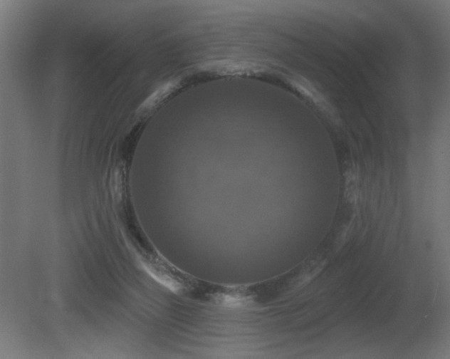 X0000081360165200701111531