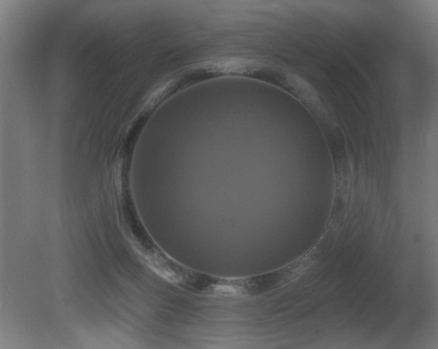 X0000081360167200701111531