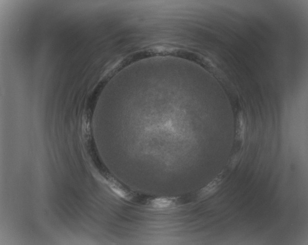 X0000081360176200701111531