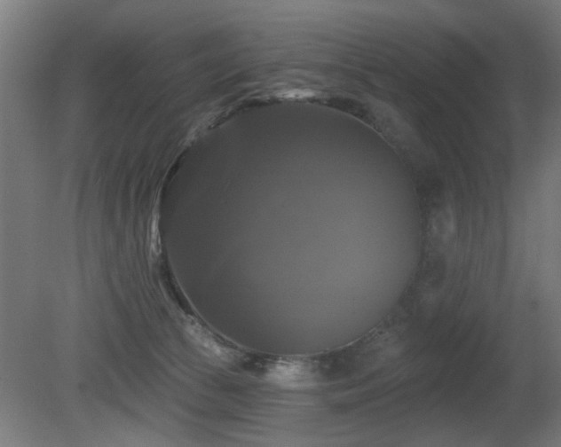 X0000081360177200701111531