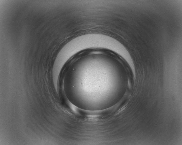 X0000081360180200701111531