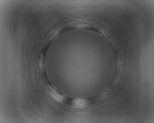 X0000081360181200701111531
