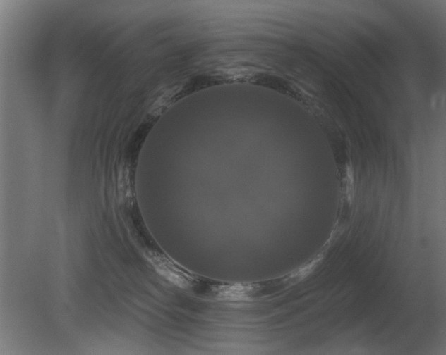 X0000081360182200701111531