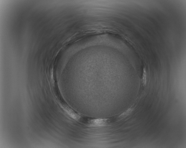 X0000081360184200701111531