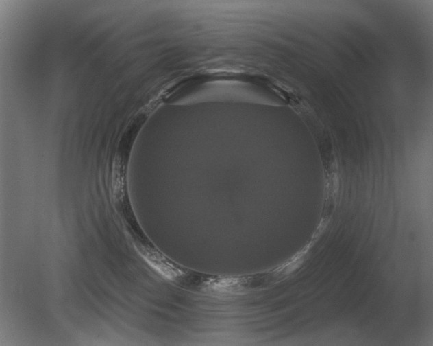 X0000081360186200701111531
