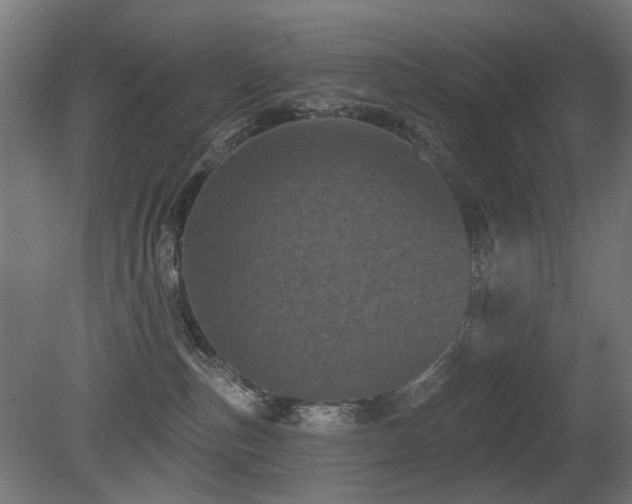 X0000081360187200701111531
