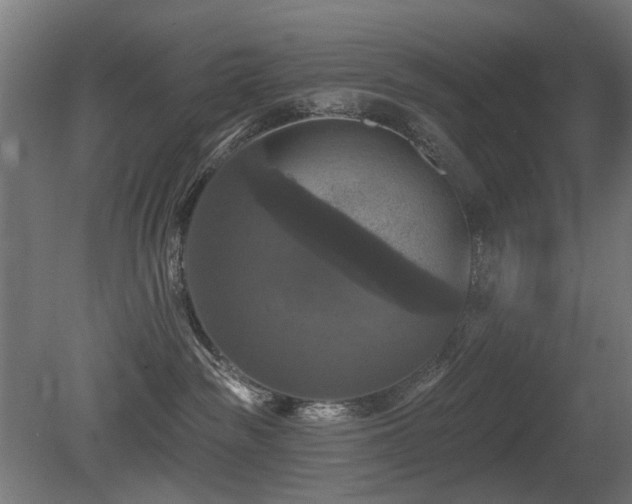 X0000081360189200701111531