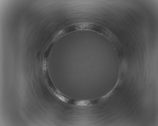 X0000081360191200701111531