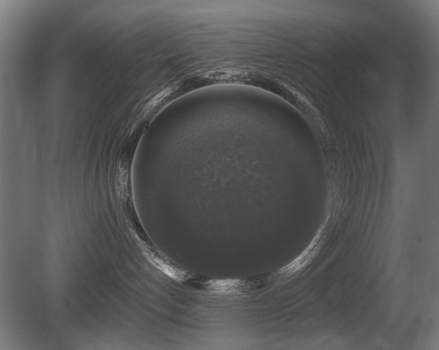 X0000081360192200701111531
