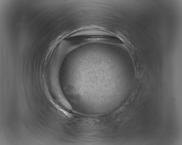 X0000081360193200701111530