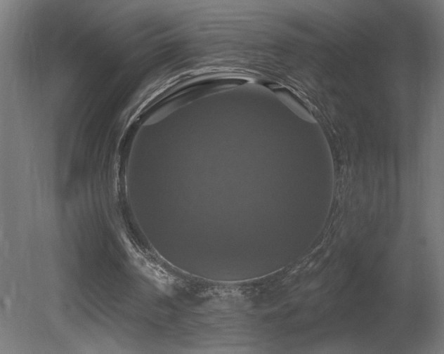 X0000081360194200701111530