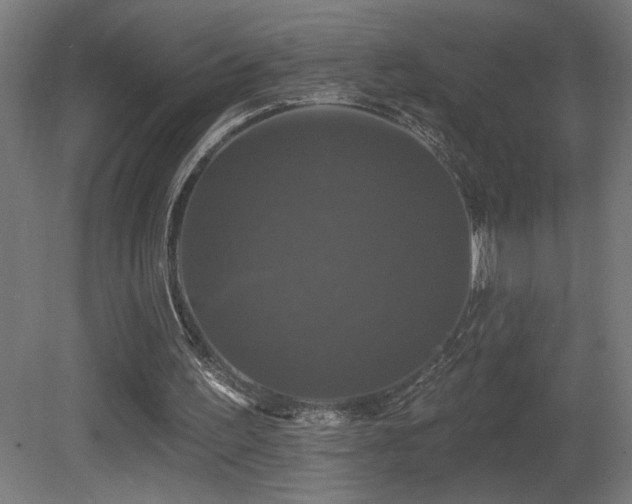 X0000081360195200701111530