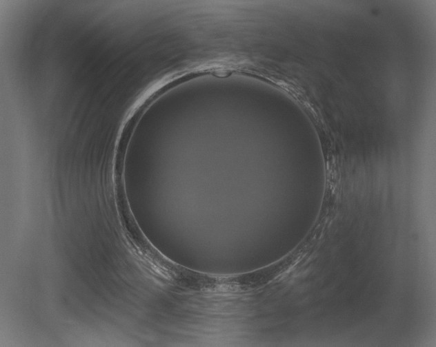 X0000081360196200701111530