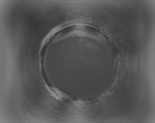X0000081360197200701111530