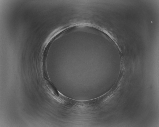 X0000081360199200701111530