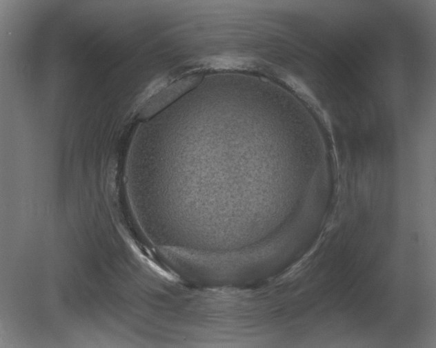 X0000081360201200701111530