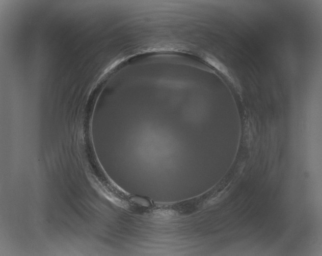 X0000081360203200701111530