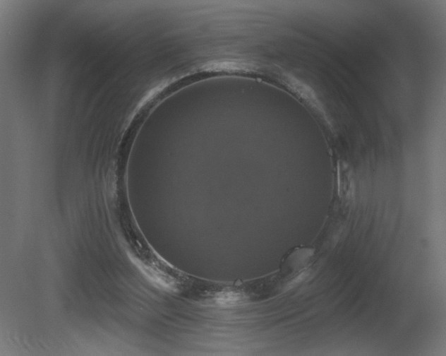 X0000081360204200701111530