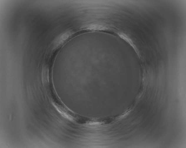 X0000081360205200701111530
