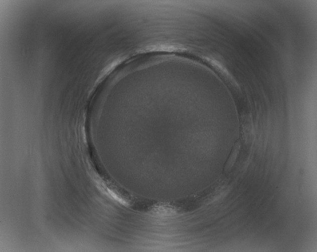 X0000081360207200701111530