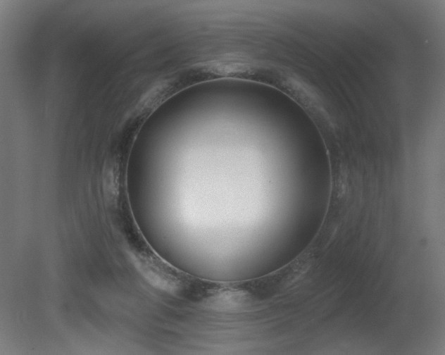 X0000081360210200701111530