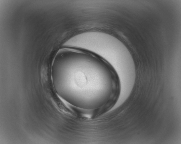 X0000081360213200701111530