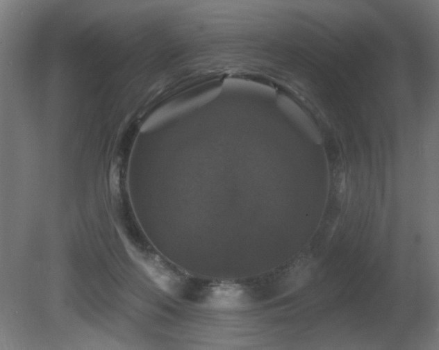 X0000081360214200701111530