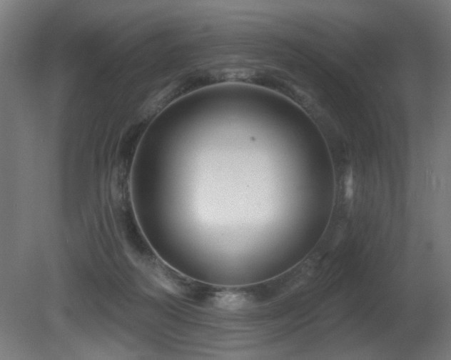 X0000081360218200701111530