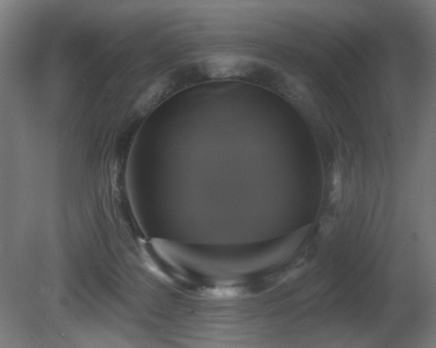 X0000081360219200701111530