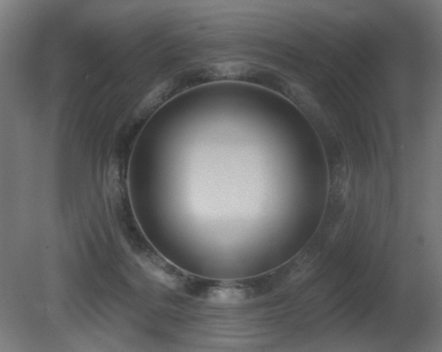 X0000081360220200701111530
